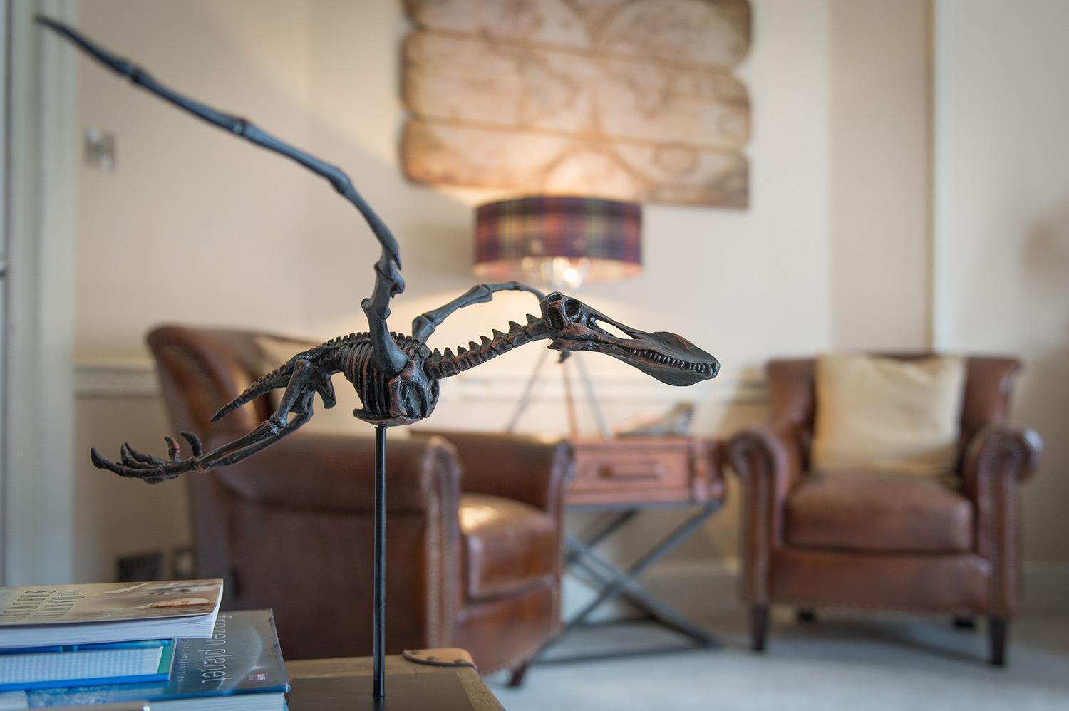 Darwin'S Townhouse Bed & Breakfast Shrewsbury Exterior photo Fossil of the Late Cretaceous tyrannosaur Dryptosaurus