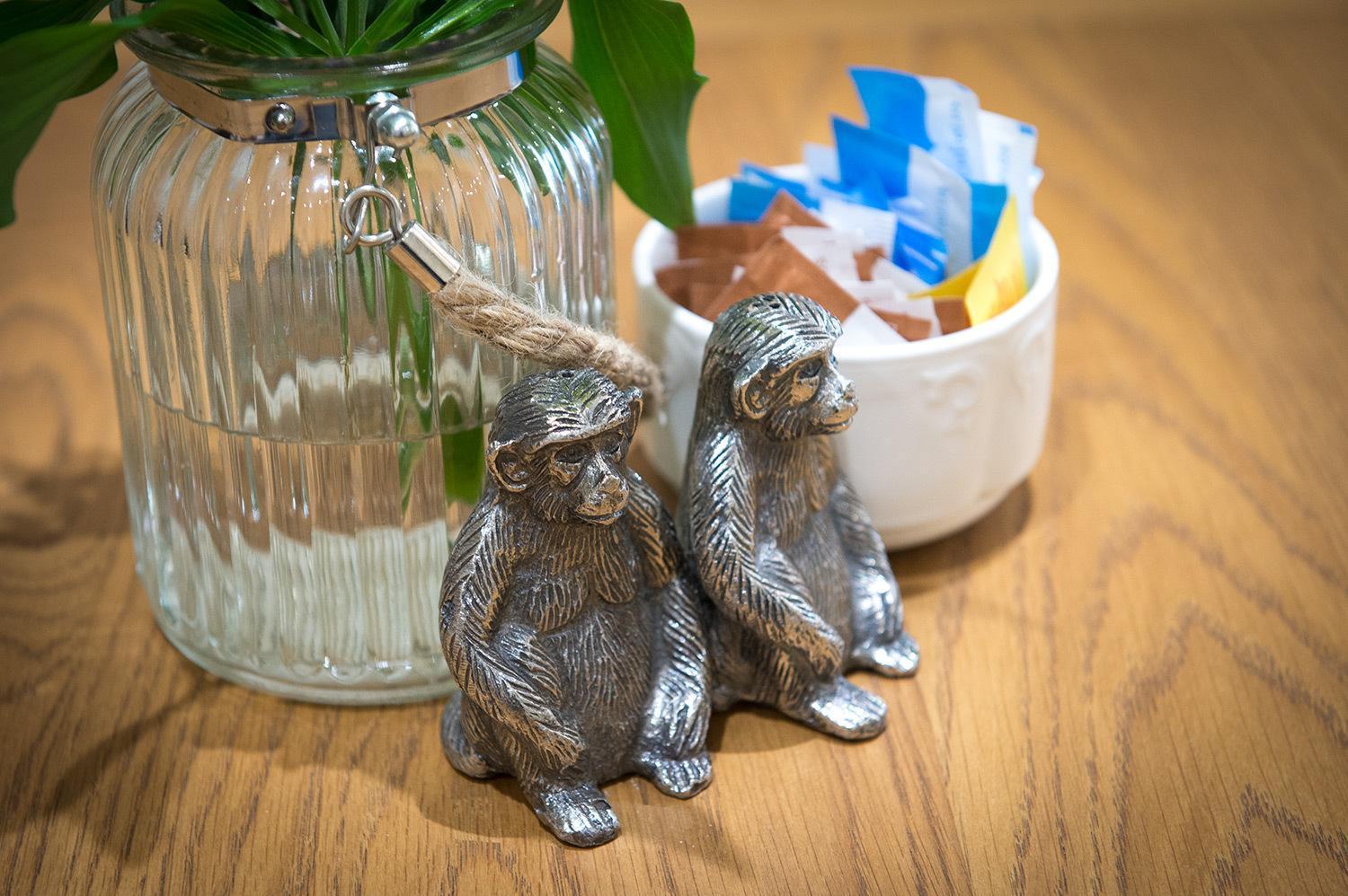 Darwin'S Townhouse Bed & Breakfast Shrewsbury Exterior photo Silver monkey salt and pepper shakers